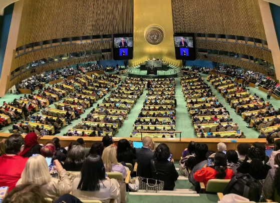 2024年世界妇女大会：共谋全球女性平等与发展大计